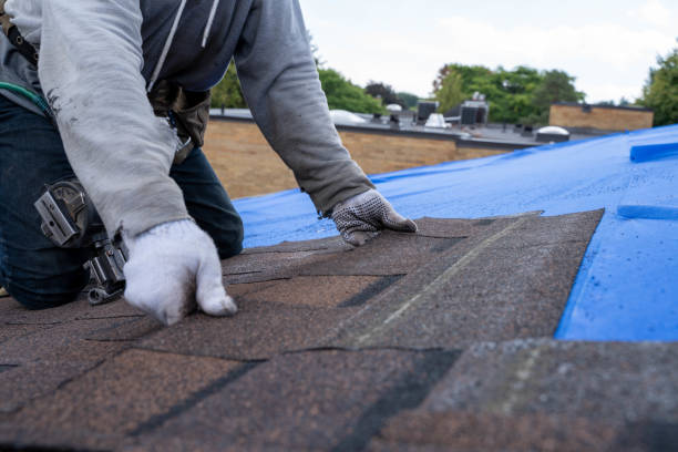 Best Sealant for Roof  in Shady Point, OK
